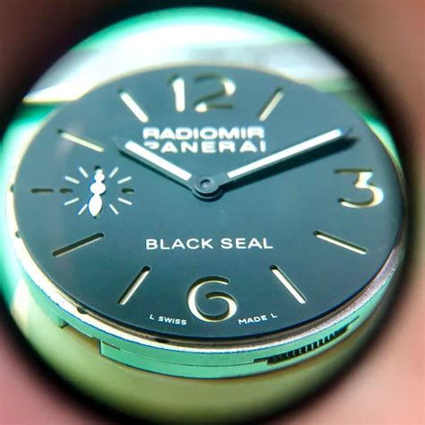 panerai service interval